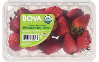 Bova Fresh