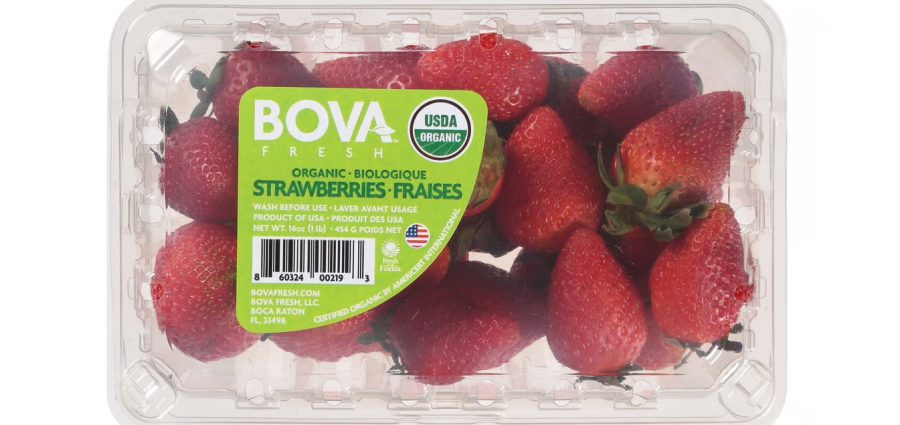 Bova Fresh