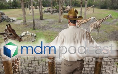 Man (30s) working at the zoo, standing on observation deck overlooking giraffe exhibit.