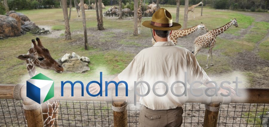 Man (30s) working at the zoo, standing on observation deck overlooking giraffe exhibit.