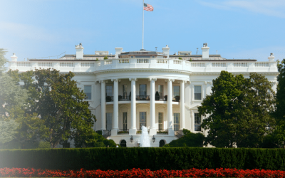 MDM-White House