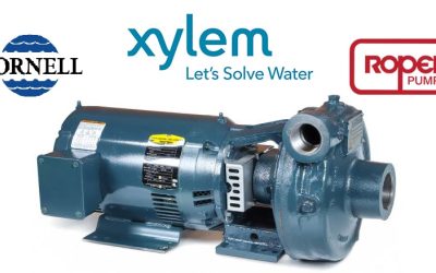 Xylem